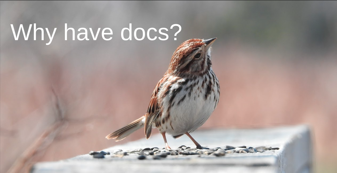 A small sparrow standing on a bridge railing amid seeds with an upturned, confused head position.